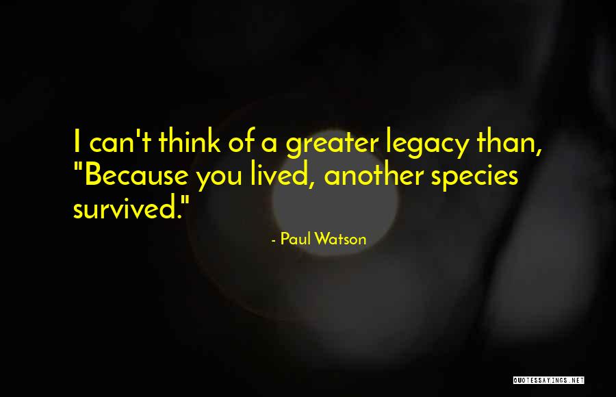 Zambak Resimleri Quotes By Paul Watson Zambak Resimleri Quotes By Paul Watson
