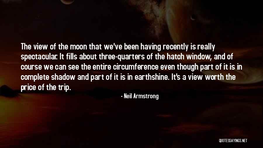 Zambesi Flowers Quotes By Neil Armstrong Zambesi Flowers Quotes By Neil Armstrong