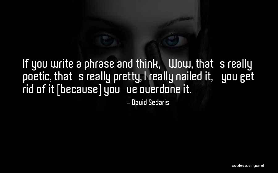 Zaminemlak Quotes By David Sedaris