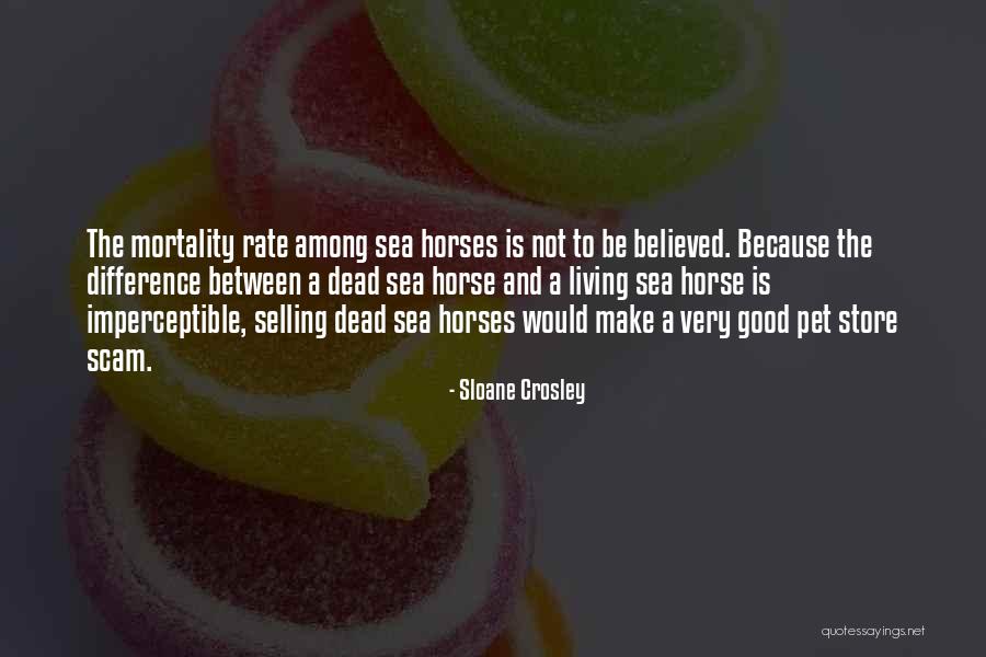 Zampella Piscataway Quotes By Sloane Crosley Zampella Piscataway Quotes By Sloane Crosley