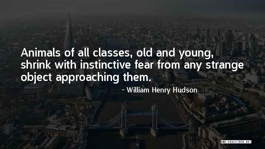 Zandberg Winery Quotes By William Henry Hudson Zandberg Winery Quotes By William Henry Hudson