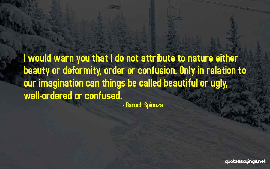 Zandonai Sofa Quotes By Baruch Spinoza