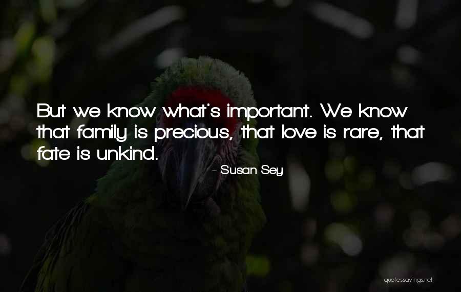 Zandonellas Court Quotes By Susan Sey Zandonellas Court Quotes By Susan Sey