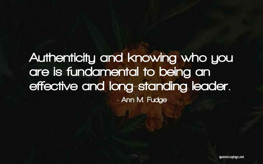 Zandtekeningen Quotes By Ann M. Fudge Zandtekeningen Quotes By Ann M. Fudge