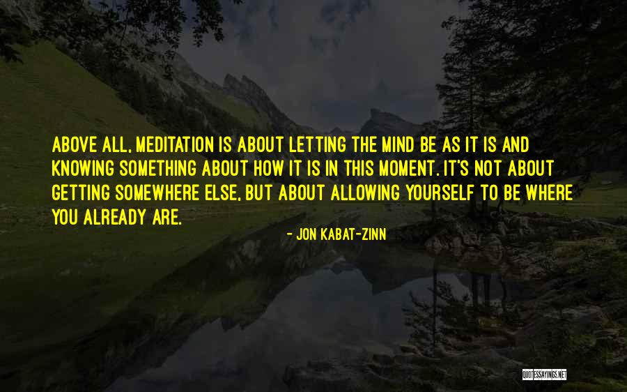 Zanesene Quotes By Jon Kabat-Zinn Zanesene Quotes By Jon Kabat-Zinn