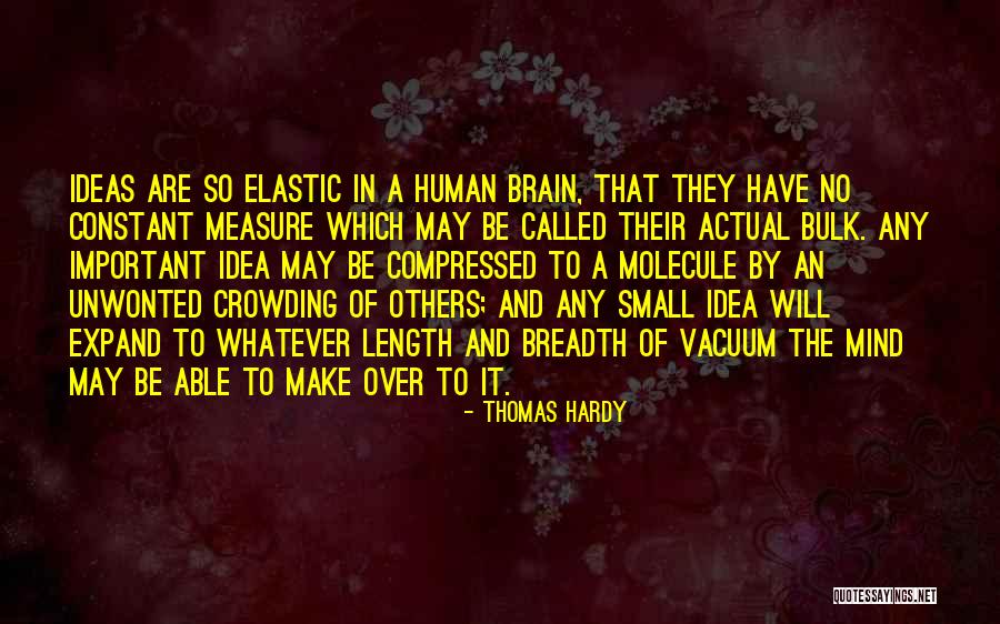 Zangara Wow Quotes By Thomas Hardy Zangara Wow Quotes By Thomas Hardy