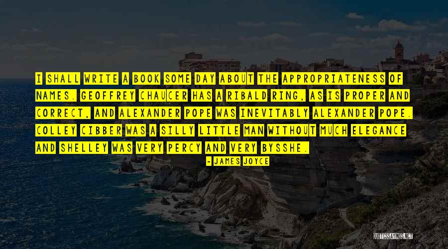 Zangetsu Shikai Quotes By James Joyce Zangetsu Shikai Quotes By James Joyce