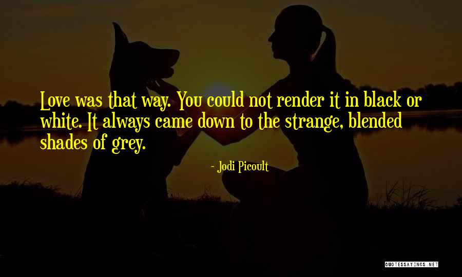 Zangger Construction Quotes By Jodi Picoult Zangger Construction Quotes By Jodi Picoult