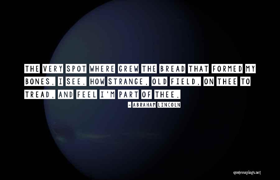Zaniar Moradi Quotes By Abraham Lincoln Zaniar Moradi Quotes By Abraham Lincoln