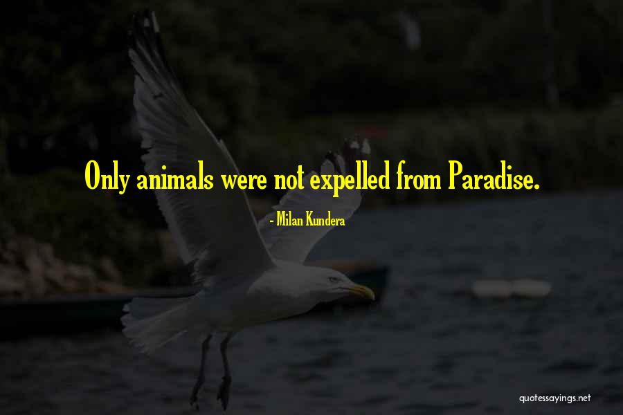 Zanimanja U Quotes By Milan Kundera Zanimanja U Quotes By Milan Kundera