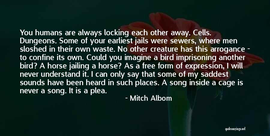 Zannino Boxing Quotes By Mitch Albom Zannino Boxing Quotes By Mitch Albom
