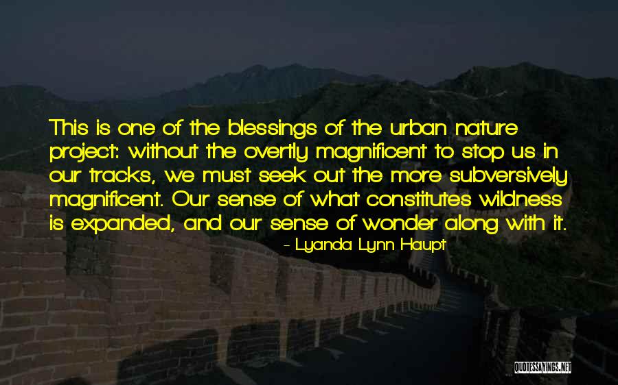 Zapovesti U Quotes By Lyanda Lynn Haupt Zapovesti U Quotes By Lyanda Lynn Haupt