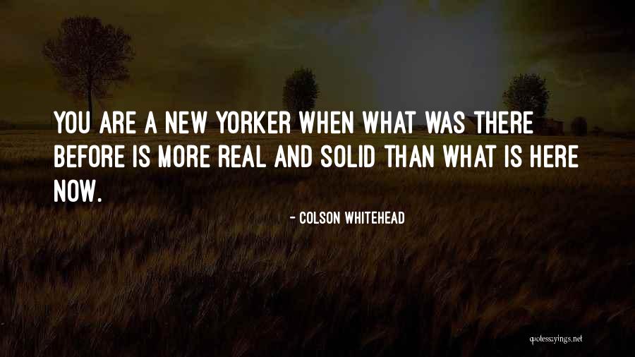 Zarape Mexicano Quotes By Colson Whitehead Zarape Mexicano Quotes By Colson Whitehead
