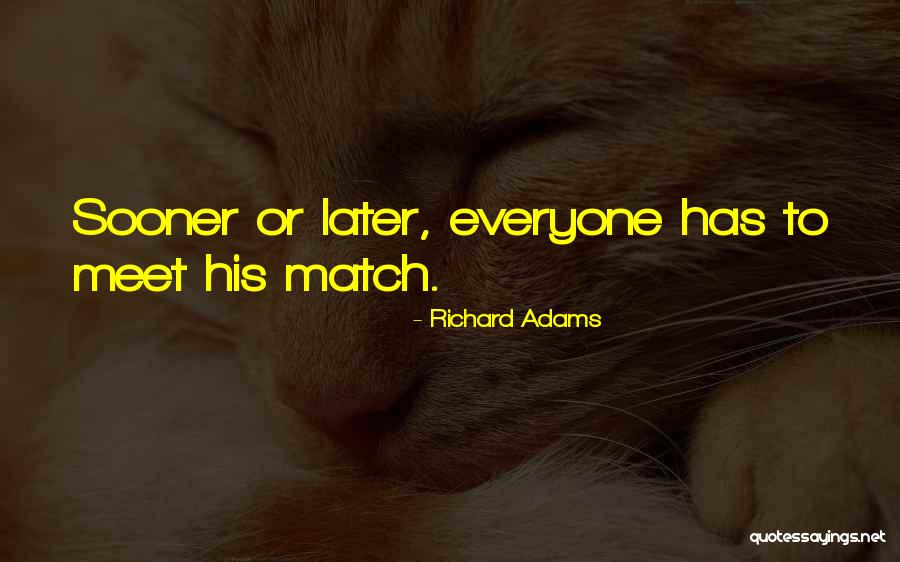 Zarellas Cape Quotes By Richard Adams Zarellas Cape Quotes By Richard Adams