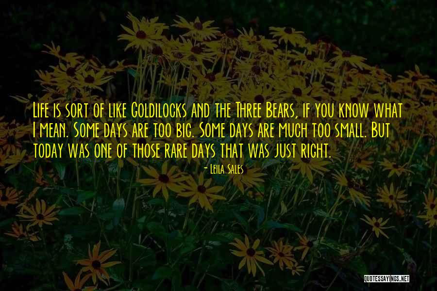 Zarema Jagizarov Quotes By Leila Sales Zarema Jagizarov Quotes By Leila Sales