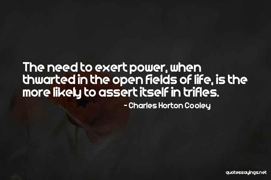 Zarich Quotes By Charles Horton Cooley Zarich Quotes By Charles Horton Cooley