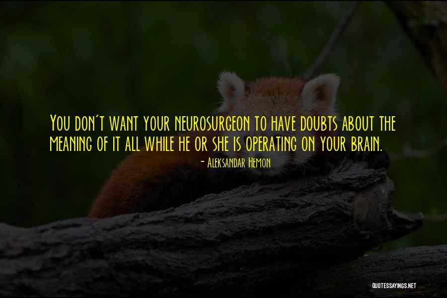 Zarigueya Quotes By Aleksandar Hemon Zarigueya Quotes By Aleksandar Hemon