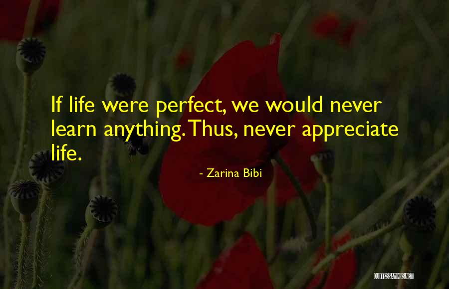 Zarina Bibi Quotes 943466