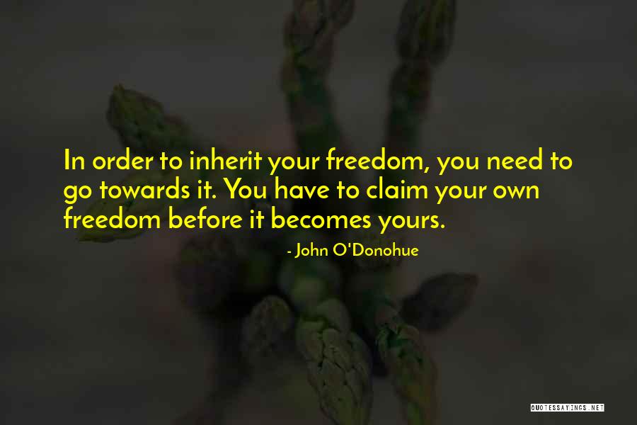 Zarnesti Wikipedia Quotes By John O'Donohue Zarnesti Wikipedia Quotes By John O'Donohue