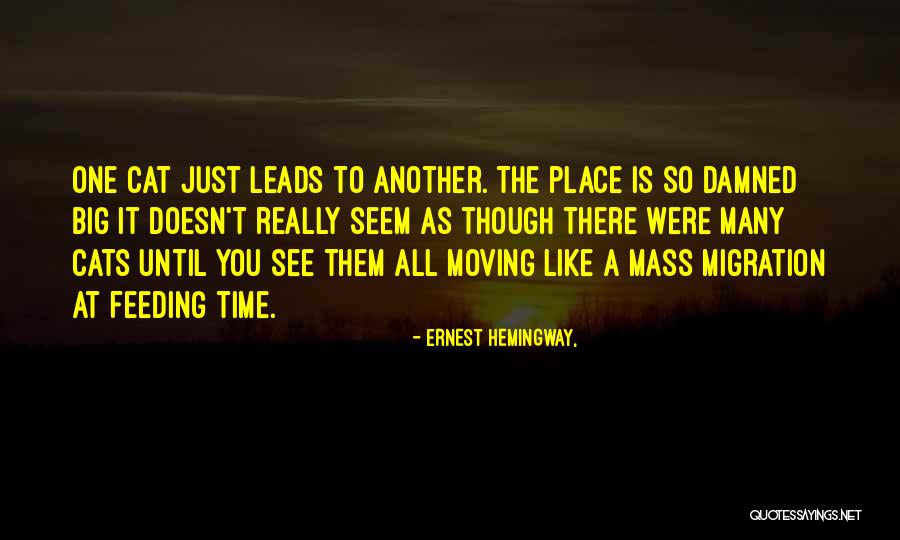 Zarry Stylik Quotes By Ernest Hemingway,