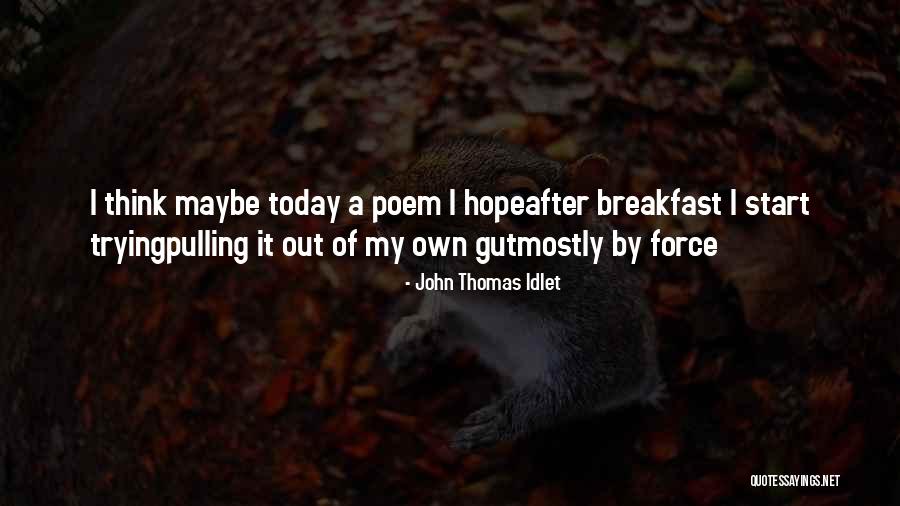 Zaslavsky Quotes By John Thomas Idlet