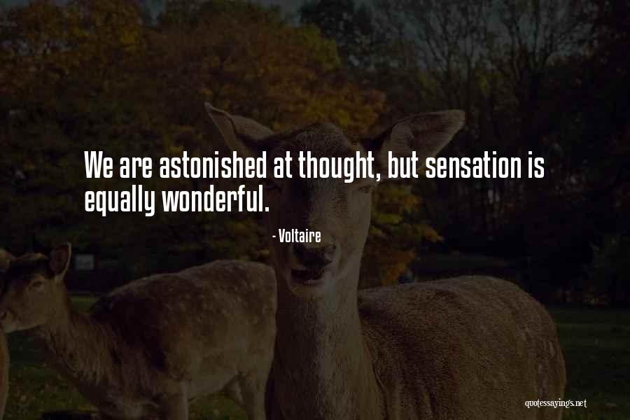 Zassou Quotes By Voltaire Zassou Quotes By Voltaire