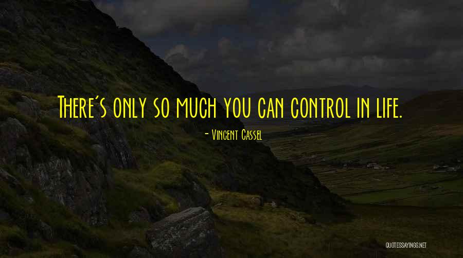 Zaties Restaurant Quotes By Vincent Cassel