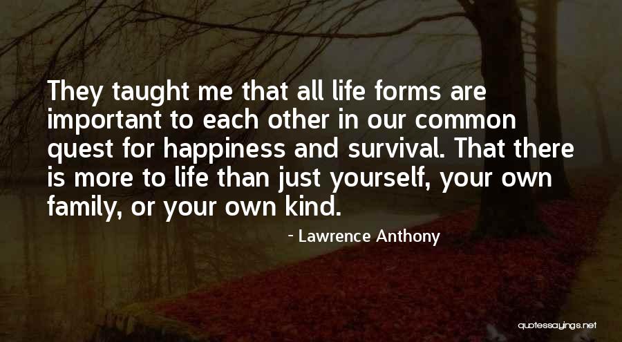 Zattere Venice Quotes By Lawrence Anthony Zattere Venice Quotes By Lawrence Anthony
