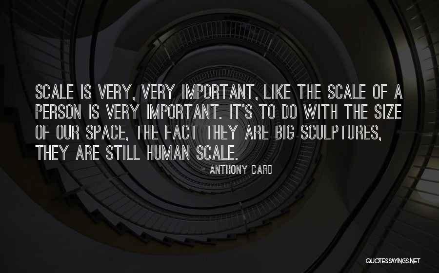 Zauner Manhattan Quotes By Anthony Caro Zauner Manhattan Quotes By Anthony Caro