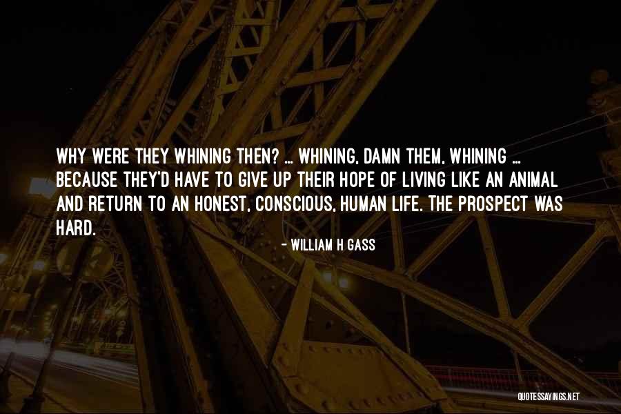 Zavaros A Nyarad Quotes By William H Gass Zavaros A Nyarad Quotes By William H Gass