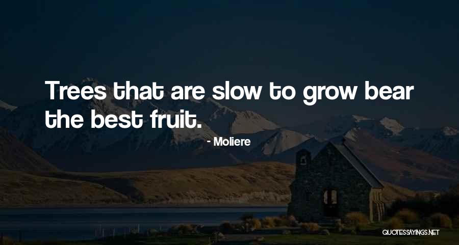 Zawierzenie Quotes By Moliere Zawierzenie Quotes By Moliere