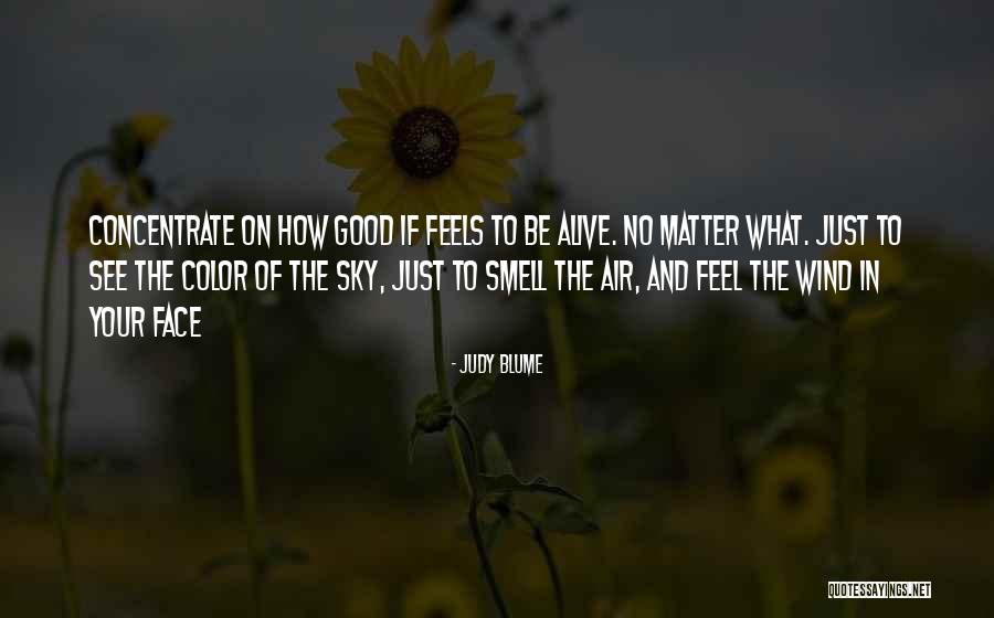 Zayas Tax Quotes By Judy Blume Zayas Tax Quotes By Judy Blume