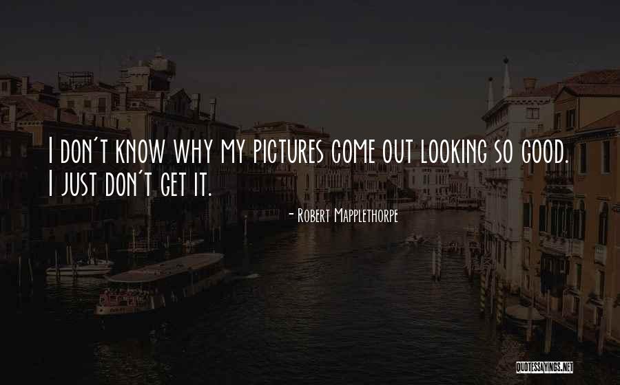 Zaynes New Song Quotes By Robert Mapplethorpe Zaynes New Song Quotes By Robert Mapplethorpe