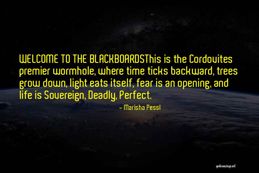 Zazakindercasting Quotes By Marisha Pessl Zazakindercasting Quotes By Marisha Pessl