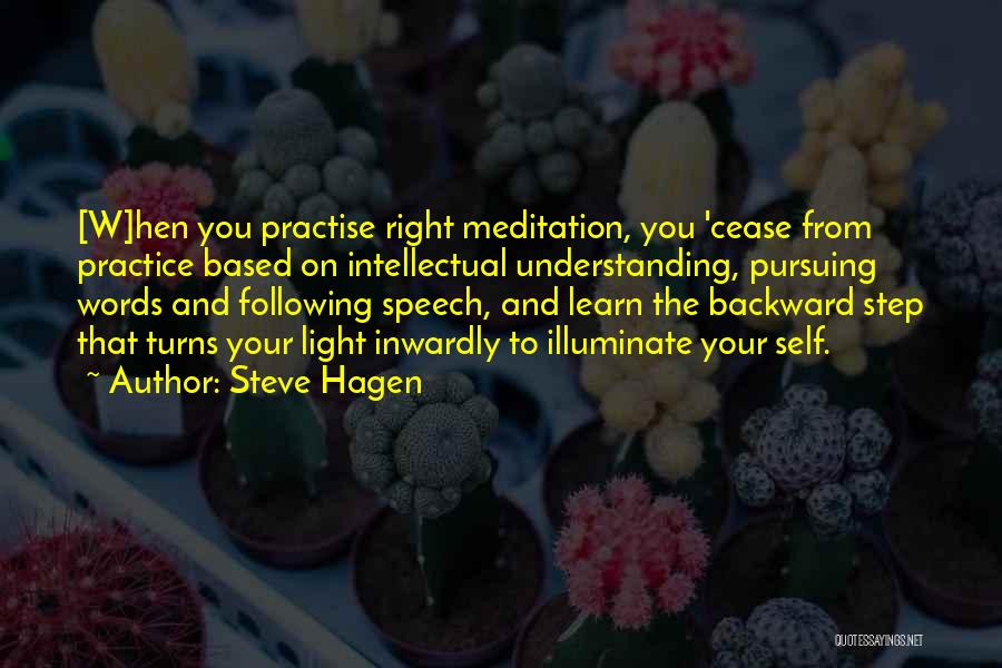 Zazen Meditation Quotes By Steve Hagen