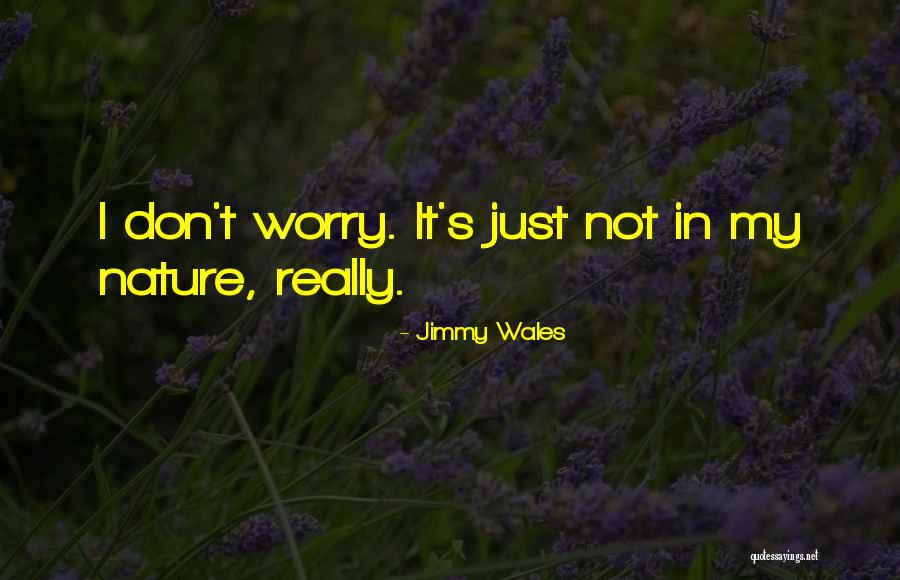 Zby Ek Hrub Keramika Quotes By Jimmy Wales Zby Ek Hrub Keramika Quotes By Jimmy Wales