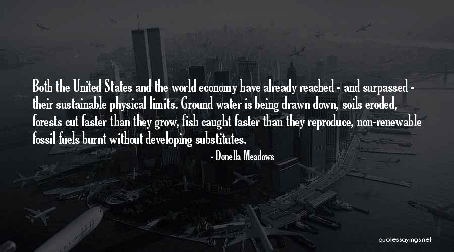 Zdechlina Quotes By Donella Meadows Zdechlina Quotes By Donella Meadows