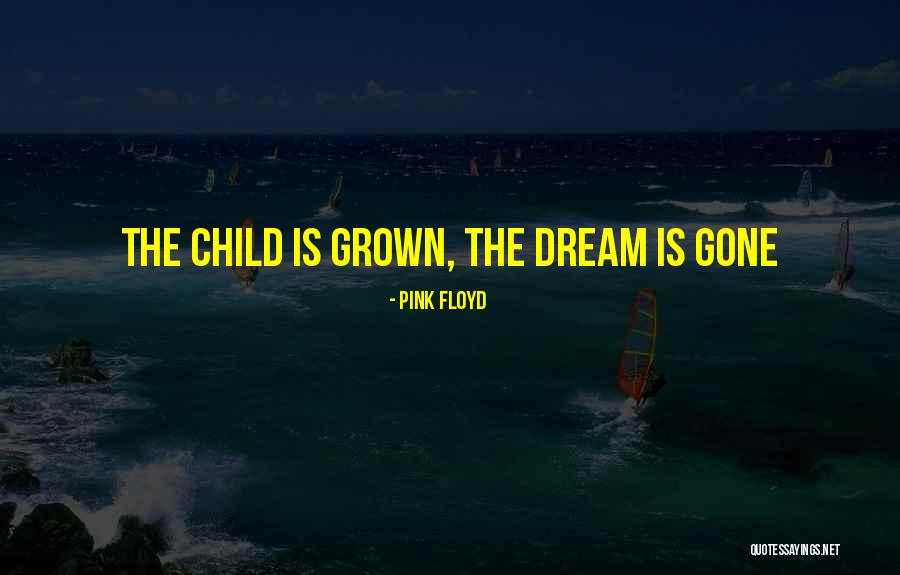 Zdravkovic Jelena Quotes By Pink Floyd Zdravkovic Jelena Quotes By Pink Floyd