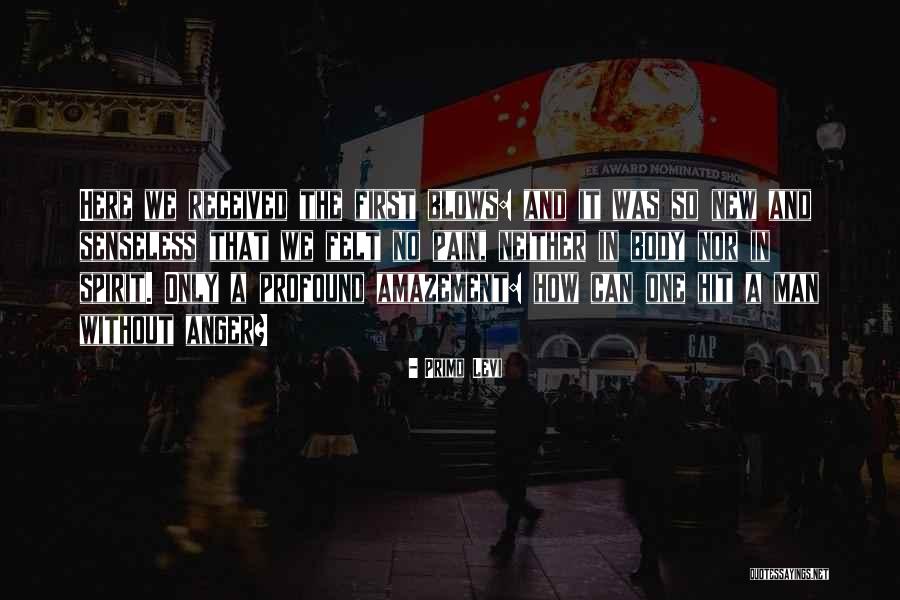 Zdvihov Quotes By Primo Levi Zdvihov Quotes By Primo Levi