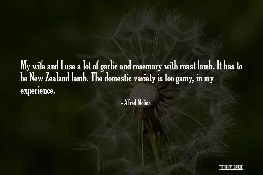 Zealand Quotes By Alfred Molina Zealand Quotes By Alfred Molina