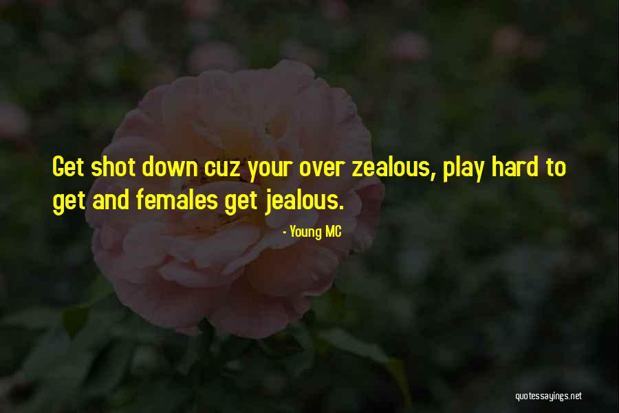 Zealous Quotes By Young MC Zealous Quotes By Young MC