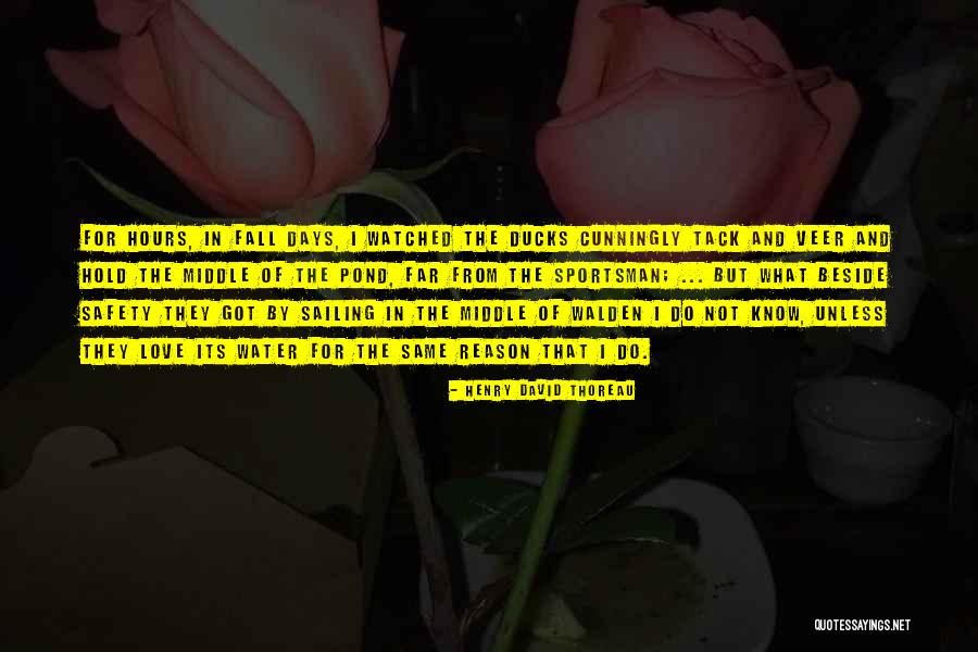 Zebunnisa Bangash Quotes By Henry David Thoreau Zebunnisa Bangash Quotes By Henry David Thoreau
