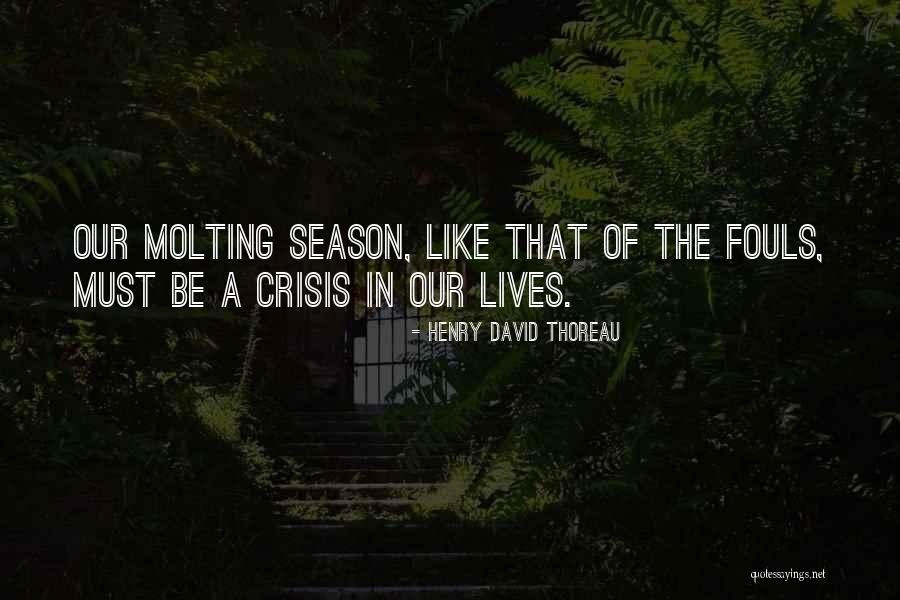 Zeddea Quotes By Henry David Thoreau Zeddea Quotes By Henry David Thoreau