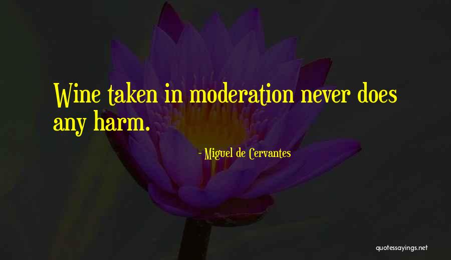 Zeesa Makeup Quotes By Miguel De Cervantes Zeesa Makeup Quotes By Miguel De Cervantes