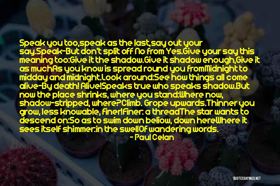 Zeesee Quotes By Paul Celan Zeesee Quotes By Paul Celan