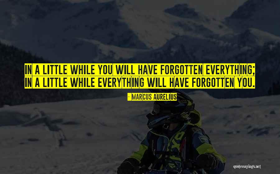Zehabesha Quotes By Marcus Aurelius Zehabesha Quotes By Marcus Aurelius