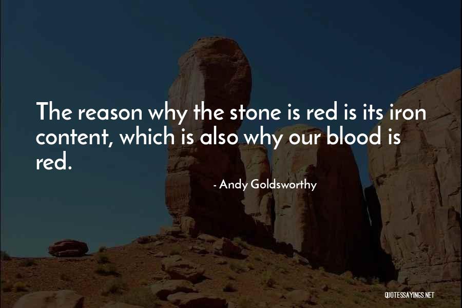 Zeholfing Quotes By Andy Goldsworthy Zeholfing Quotes By Andy Goldsworthy