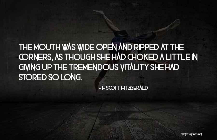 Zeidan Nesheiwat Quotes By F Scott Fitzgerald Zeidan Nesheiwat Quotes By F Scott Fitzgerald