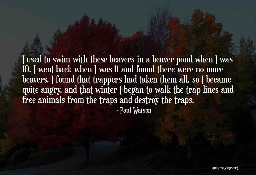 Zeitlos Translation Quotes By Paul Watson Zeitlos Translation Quotes By Paul Watson