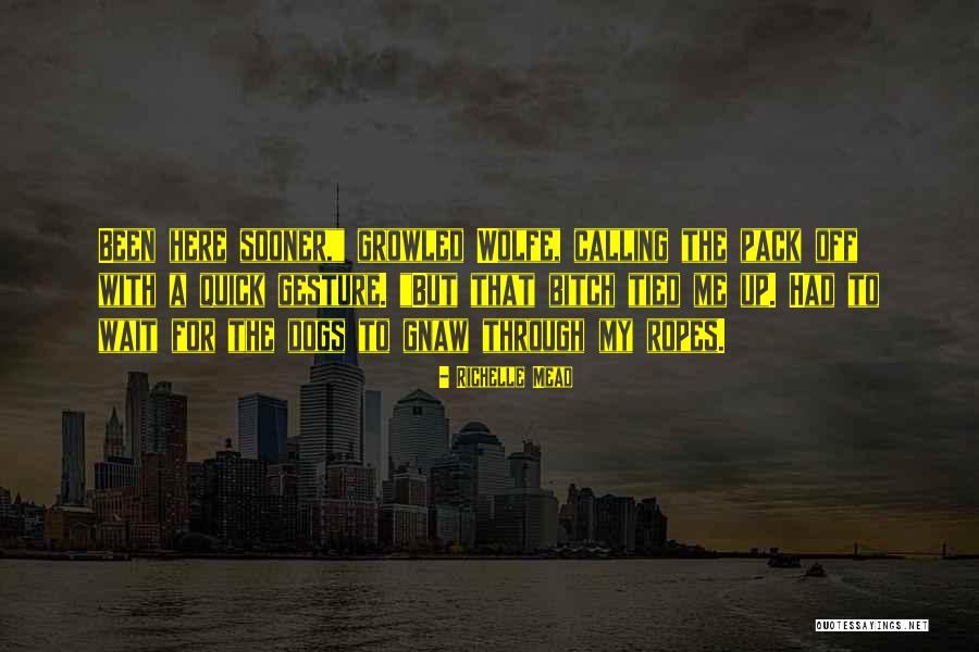 Zelazko Do Prasowania Quotes By Richelle Mead Zelazko Do Prasowania Quotes By Richelle Mead